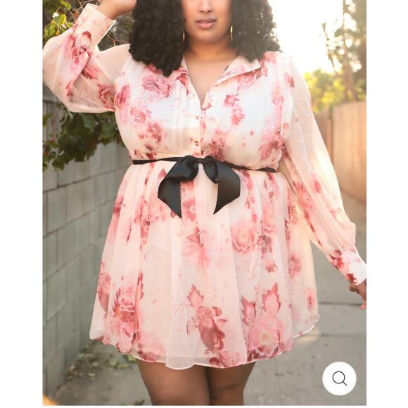 Sante Grace Vetements Mini Dress Sheer Pink Floral Empire Waist Long Sleeve - Picture 11 of 12